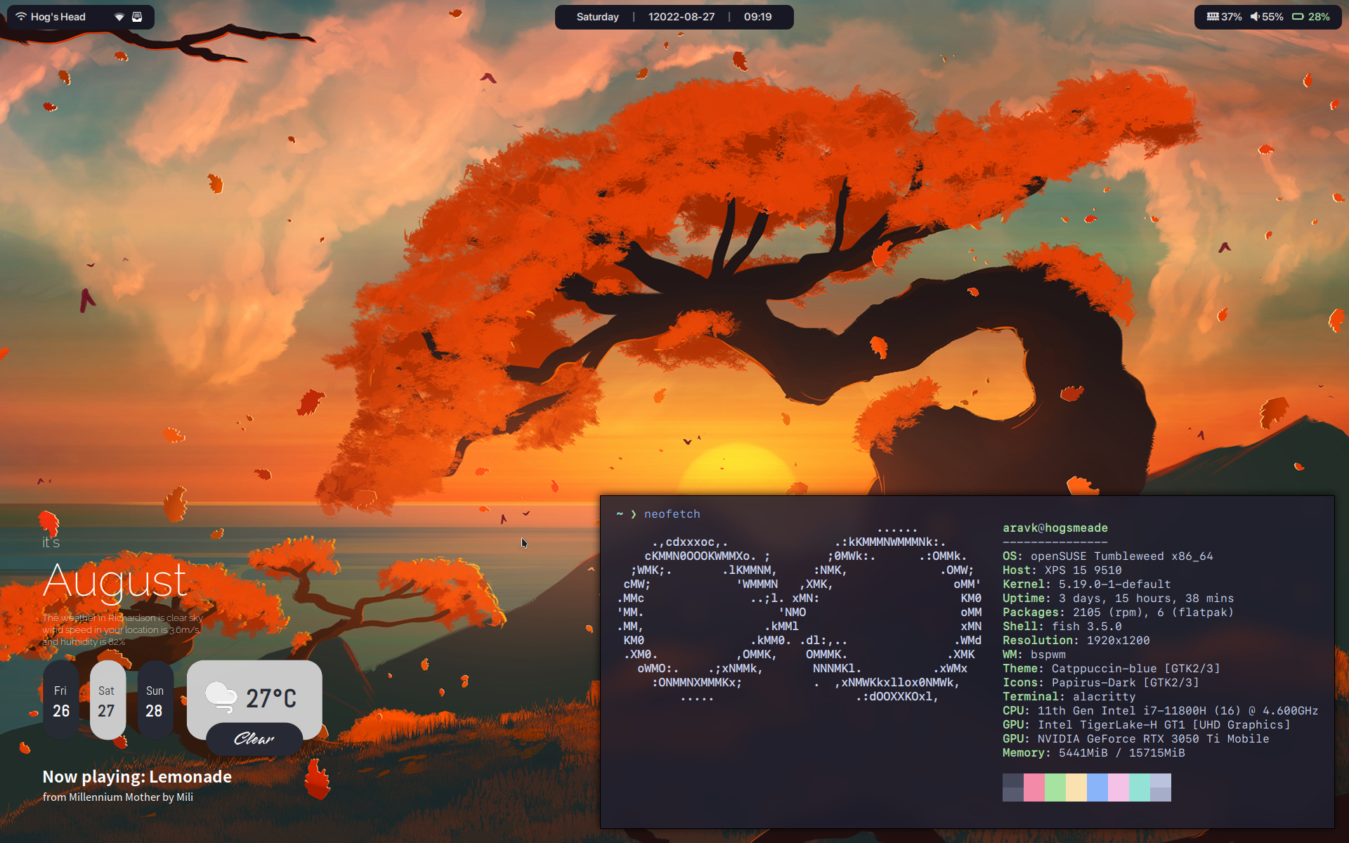 screenshot of my linux desktop